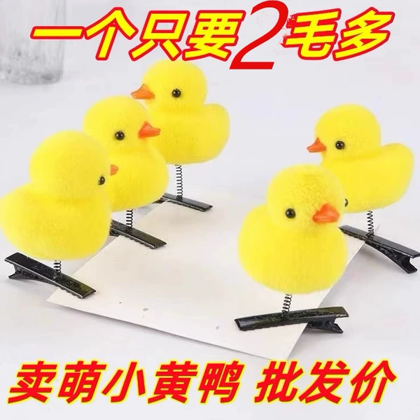 B.Duck, hairgrip