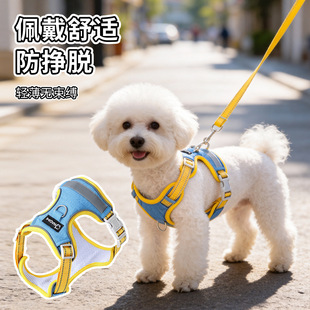 �羳���R�d������K�ر������ر�����Ȯ�����ر��޹��K�����