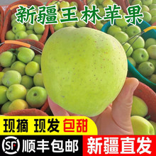 �Fժ�½������O�������K��ɭȸ���O�����O�����rˮ���خa�Y����S