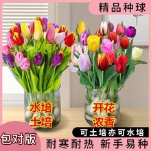 ������N���ļ��_��������ˮ��ͥԺ�̨���Ե��d�ͺ������҃Ȅe��