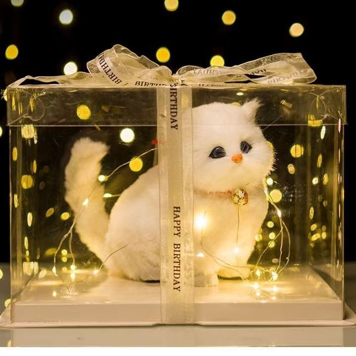 Gato Chichi, regalo de cumpleaños para su esposa, amiga, compañera de clase, regalo de caja de regalo asequible.