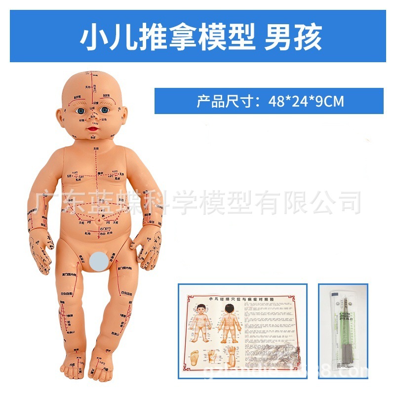 Ӥ������ģ�Ͷ�ͯ��������ģ�������ҽͨ��ѨλС�����÷���ģ��