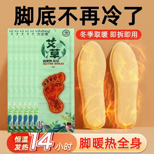 2026�l��Ь�|Ů�������԰l��ů���N��ů�_������12С�r�������R��