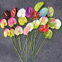 3D��ӡ�t�Ʒ��滨���Q�ƻ�Y�ò��üҾ��b��滨�Gֲ�S�����l