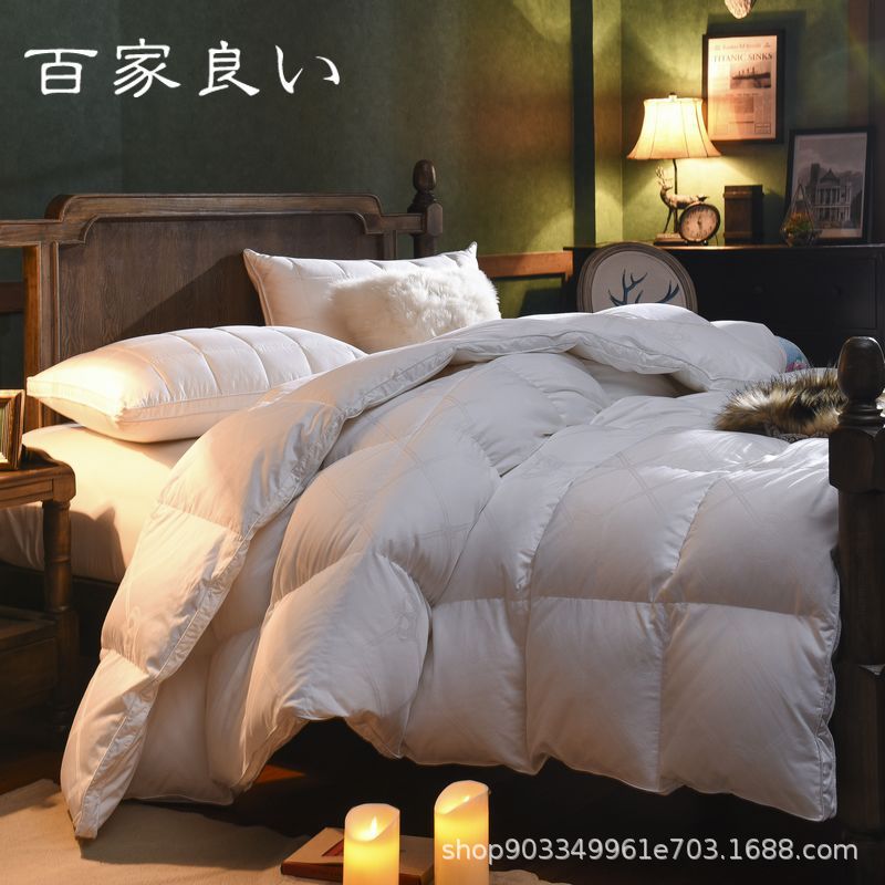 Factory Processing Cost-Effective down Quilt 95% White Goose down Winter Quilt Core Thickeneded Silent Double Winter Quilt with Random Colors