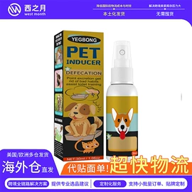 身体护理套装;其他美妆工具;头皮护理用品