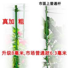 爬藤架子铁线莲花架月季花支架花盆栽植物攀爬架室内固定花支撑杆