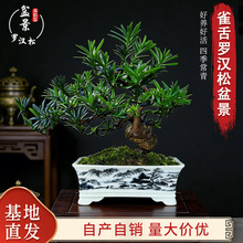 ȸ���_�h���辰�͏d���^�^�p�Gֲ�����՚��k���������b�����ֲ��