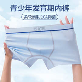 青少年发育期男生内裤纯棉抗菌透气男孩平角裤男大童四角短裤批发