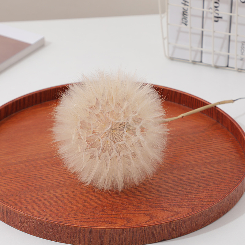 タンポポドライフラワー標本永遠の花クリエイティブ接着剤 diy 装飾手作り花教師の日ギフト花瓶フラワーアレンジメント|undefined