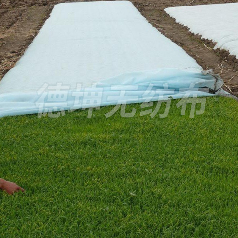 草坪保湿透气盖土育苗植草绿化护坡边坡防尘工地草籽覆盖无纺布