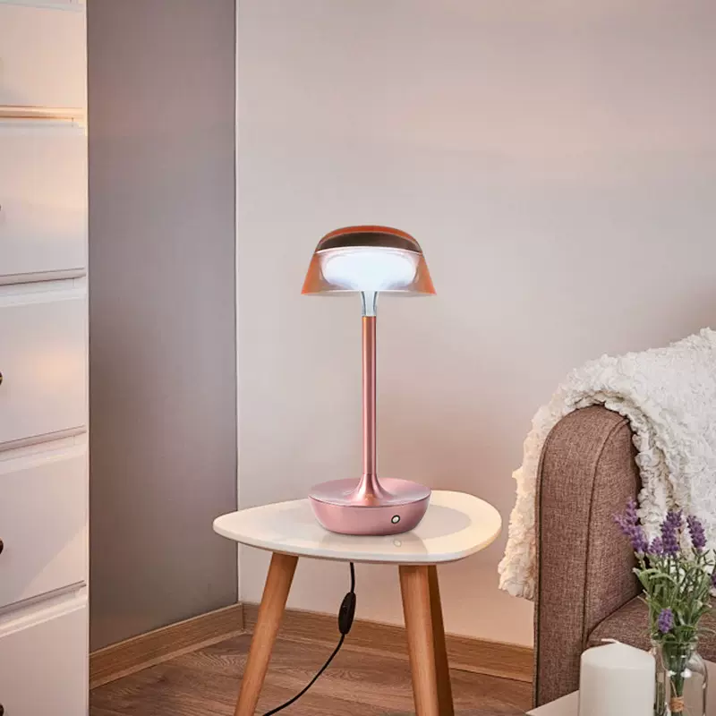 轻奢感卧室床头台灯韩式灯罩露营台灯酒吧清吧网红店装饰台灯