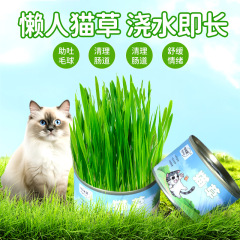 Cat Grass Planting Pot Cat Snacks Lazy Cat Grass Cat Green Plant Hairball Control Grass Wheat Sprout Cat Snacks Wholesale