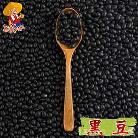 黄芯大黑豆农家自产黑豆豆浆纯黑五谷杂粮黑米黑芝麻糙米