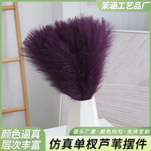 仿真单支芦苇摆件芦苇潘帕斯仿真款花室内盆栽造景橱窗装饰永生花