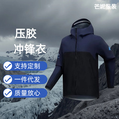 台州鸟家松赞联名款beta sl纳木措硬壳冲锋衣三层压胶登山服外套