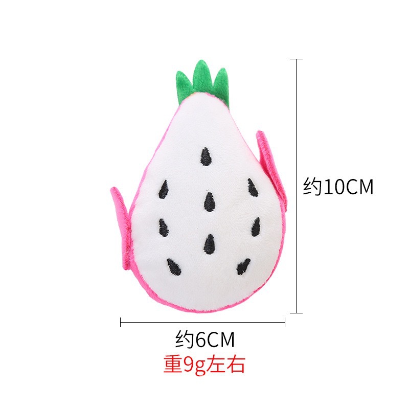 드래곤 과일