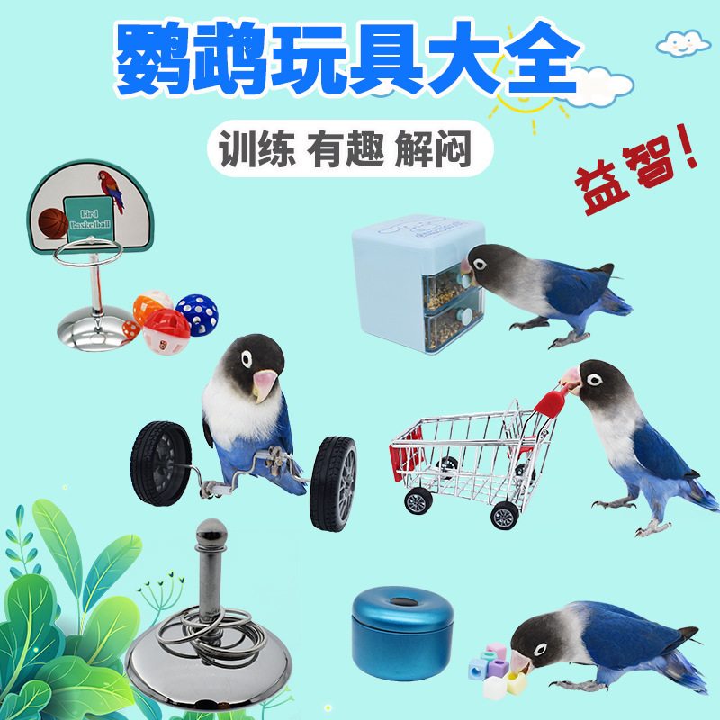 Parrot Toy Training Set Shopping Cart Ring Toss Chewing Toys for Cockatiels, Lovebirds, and Budgerigars Educational Bird Toys Parrot Toy Training Set Shopping Cart Ring Toss Chewing Toys for Cockatiels, Lovebirds, and Budgerigars Educational Bird Toys