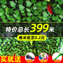 �����^�z�ٗl�b�픾Gֲ�ܵ��ړ��Gֲ�l�����b����������~����