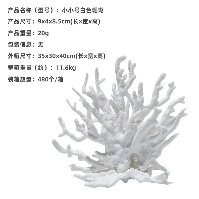 Coral blanco pequeño