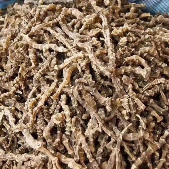 虫草参地参煲汤佳品散装草参白虫草参土冬虫草参地蚕雪参批发