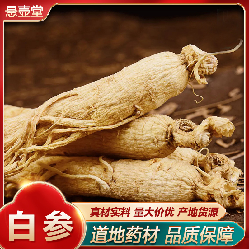 干人参长白山生晒参全须白参整支原皮边条参选货整支规格齐全500g