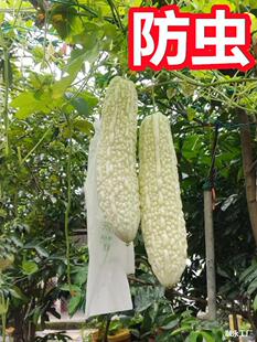 �z������S�Ͽ�Ϲϴ����Ӵ��״��������׿�Ϸ��x�״�