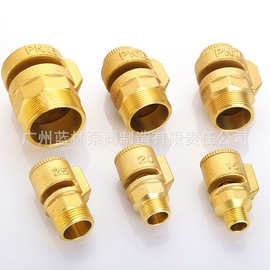 黄铜 真空释放阀 排气吸气阀 管道防真空阀门 丝扣螺纹法兰连接