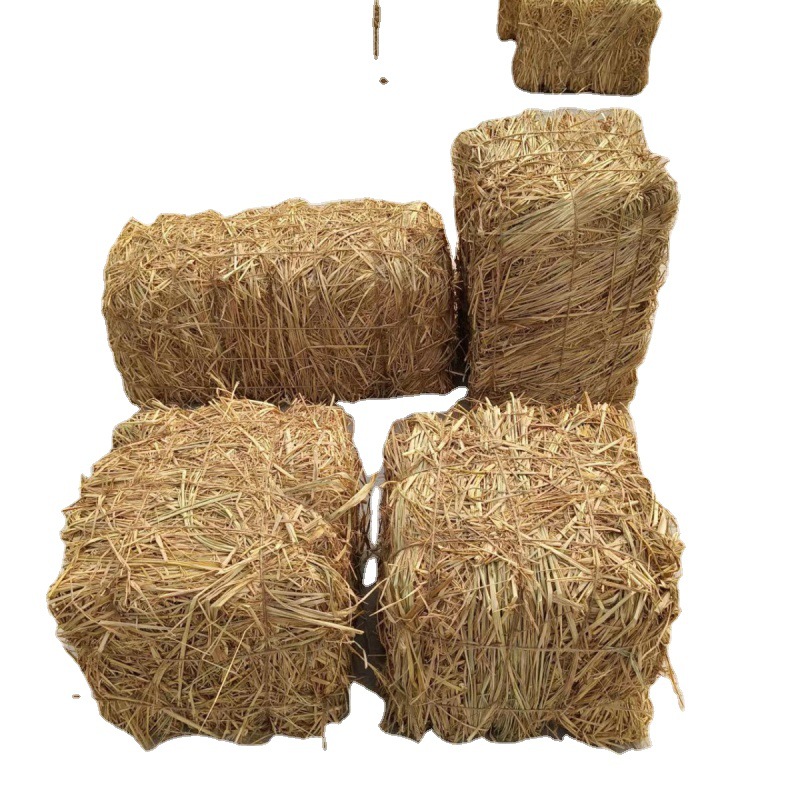 Straw stack haystacks dry farmhouse decorate dry rice -shaped cyterscase shooting propskin stack stool Amazon Amazon