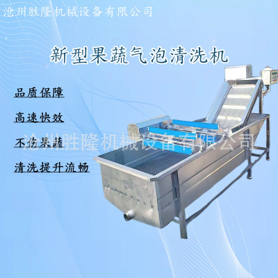 果蔬清洗機 毛輥清洗 氣泡噴淋清洗 水浴式巴式殺菌工作流水線