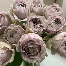 һ�����l��Ʒ�����¼��������Թ�ľ�л�����ɫϵ�༾�_�󻨝���