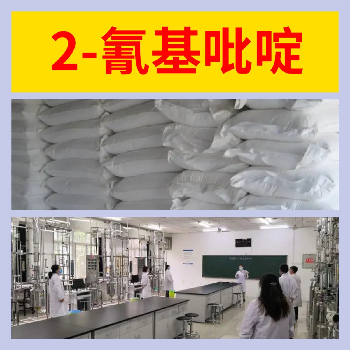2-氰基吡啶 工厂直供工业级分析纯满意的服务99%含量山东上海浙江