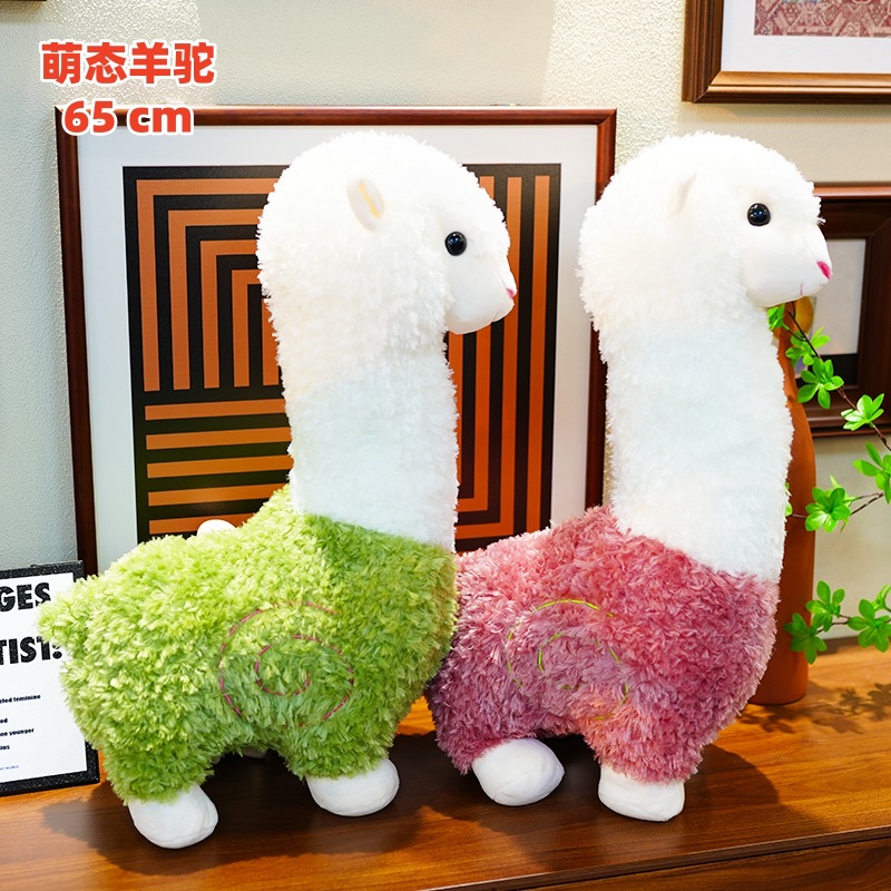 귀여운 알파카 65cm