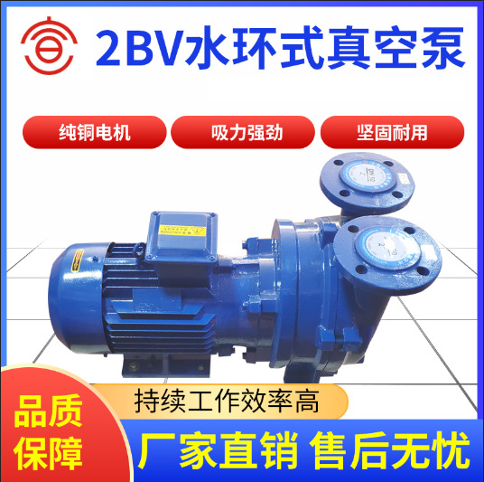 宣一2BV水环式真空泵厂家直销铸铁/不锈钢/防爆 真空引水装置