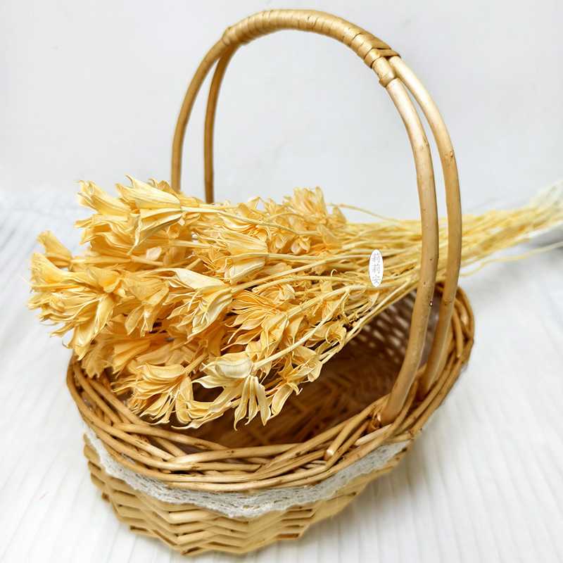 샴페인 컬러 (50g/묶음)