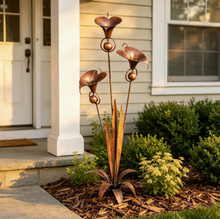 �羳Flamed Copper Three Calla Lilies��t�~ɫ�����R��ɏ�ز�
