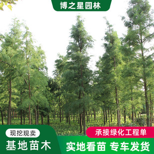 ����ɼ�����·�r��ˮ߅�o��ռ�����ļ������е����ľͥԺɼ����