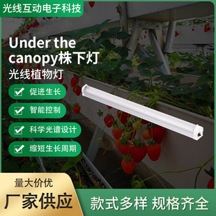120W under the Canopy Private Model Bottom Fill Light Ip65, Improving Yield While Enhancing Quality