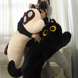 ��ë�q��؈����߉݋؈�ɐ۴��^���L�l�����῿��˯�X�A�ȱ�����