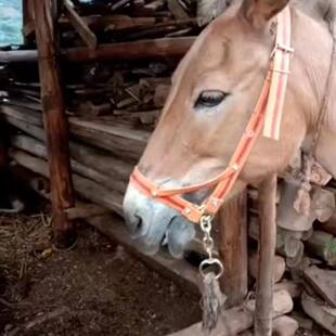 �R�\�^�R�\�R���Ԏ��������Rˮ���R���נ��R�R�g�{��ȫ�����^��Ʒ