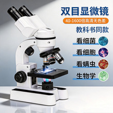 �羳�����@΢�R���I�߱��@΢�R��С�W���������ǃ�ͯ�ƽ����