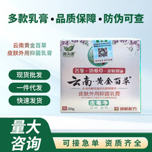 ��һ�����l����������S��ٲ��־����Ƥ�w���òݱ����