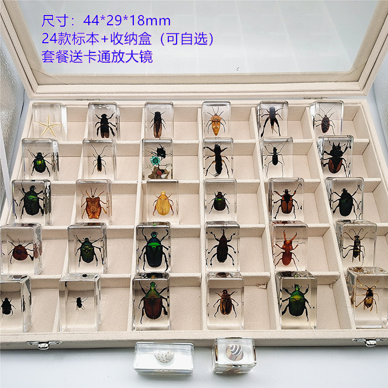 직사각형 24가지 스타일(옵션) 선물 상자 돋보기