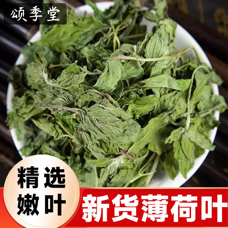 Chinese Herbal Medicine Mint Leaves, Dried Mint Leaves Tea, Fresh Mint Soaked in Water, Mint Leaves Mixed with Wine, Tea Soaked in Water, Chinese Herbal Medicine