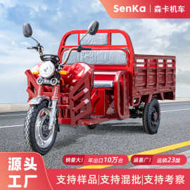 电动三轮车拉货家用载重翻斗钢板加厚车厢载重爬坡农场出口三蹦子