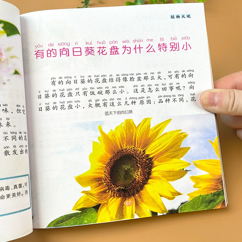 Комиксы, разнообразная книга с картинками, раскраска для учащихся, полный набор