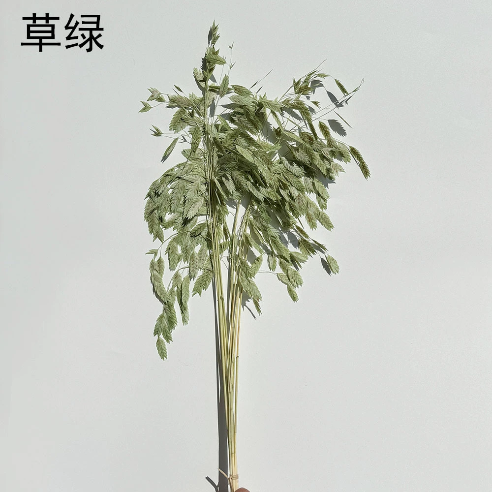 Сохранённые вечные цветочные стебли Xiao Pianwang Cao, цветочная сушёная букетная композиция, 10 шт, 30–60 см