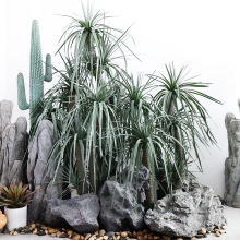 ѪݟᎧɳGֲͷmֲ͏d䁙쾰