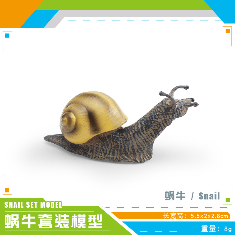 PL127-3760 Caracol 8g