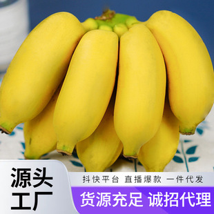 С�׽��㽶���r�Fժ�ЋDˮ���O�����۽�һ�����l��Ȼ������